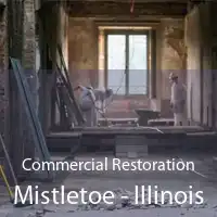 Commercial Restoration Mistletoe - Illinois
