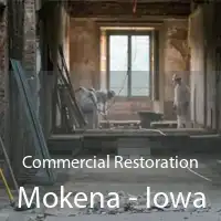 Commercial Restoration Mokena - Iowa