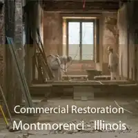 Commercial Restoration Montmorenci - Illinois