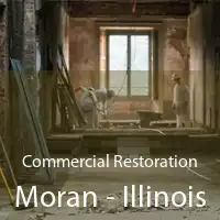 Commercial Restoration Moran - Illinois
