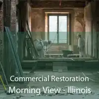 Commercial Restoration Morning View - Illinois