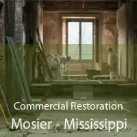 Commercial Restoration Mosier - Mississippi