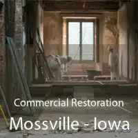 Commercial Restoration Mossville - Iowa