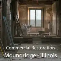 Commercial Restoration Moundridge - Illinois