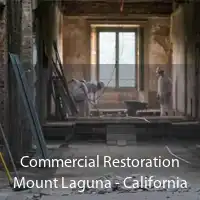Commercial Restoration Mount Laguna - California