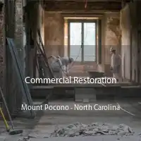 Commercial Restoration Mount Pocono - North Carolina