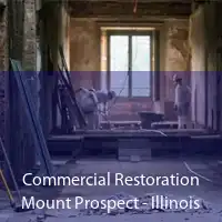 Commercial Restoration Mount Prospect - Illinois