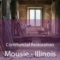 Commercial Restoration Mousie - Illinois