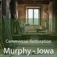 Commercial Restoration Murphy - Iowa