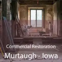 Commercial Restoration Murtaugh - Iowa