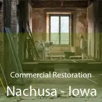 Commercial Restoration Nachusa - Iowa
