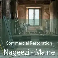 Commercial Restoration Nageezi - Maine