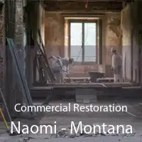 Commercial Restoration Naomi - Montana