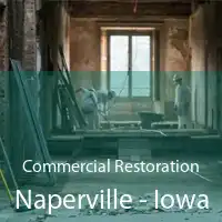 Commercial Restoration Naperville - Iowa