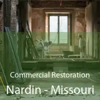 Commercial Restoration Nardin - Missouri