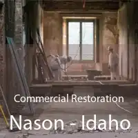 Commercial Restoration Nason - Idaho