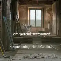 Commercial Restoration Nesquehoning - North Carolina