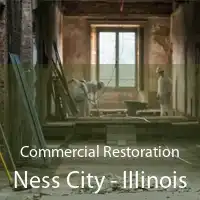 Commercial Restoration Ness City - Illinois