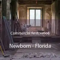 Commercial Restoration Newborn - Florida