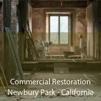 Commercial Restoration Newbury Park - California