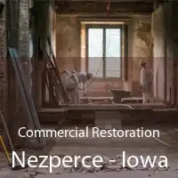 Commercial Restoration Nezperce - Iowa