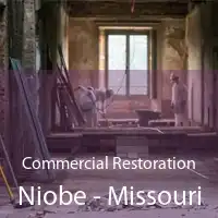 Commercial Restoration Niobe - Missouri
