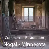 Commercial Restoration Nogal - Minnesota