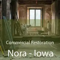 Commercial Restoration Nora - Iowa