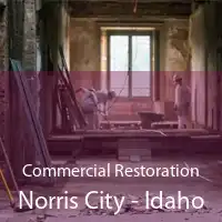 Commercial Restoration Norris City - Idaho