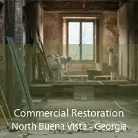 Commercial Restoration North Buena Vista - Georgia