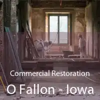 Commercial Restoration O Fallon - Iowa