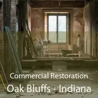 Commercial Restoration Oak Bluffs - Indiana