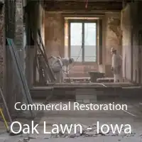 Commercial Restoration Oak Lawn - Iowa