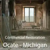 Commercial Restoration Ocate - Michigan