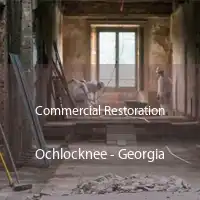 Commercial Restoration Ochlocknee - Georgia