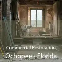 Commercial Restoration Ochopee - Florida