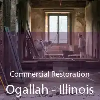 Commercial Restoration Ogallah - Illinois