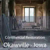 Commercial Restoration Okawville - Iowa