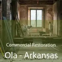 Commercial Restoration Ola - Arkansas