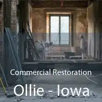 Commercial Restoration Ollie - Iowa