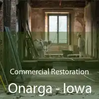 Commercial Restoration Onarga - Iowa