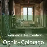 Commercial Restoration Ophir - Colorado