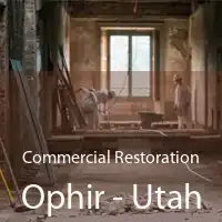 Commercial Restoration Ophir - Utah