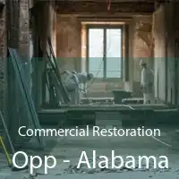 Commercial Restoration Opp - Alabama