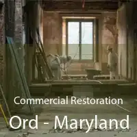 Commercial Restoration Ord - Maryland