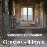 Commercial Restoration Orestes - Illinois