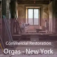 Commercial Restoration Orgas - New York