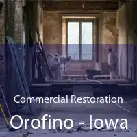 Commercial Restoration Orofino - Iowa