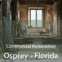 Commercial Restoration Osprey - Florida