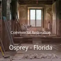 Commercial Restoration Osprey - Florida